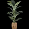 Best Large Ficus in Rattan Pot Branches|Artificial Flowers