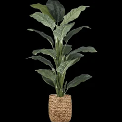 Best Large Ficus in Rattan Pot Branches|Artificial Flowers