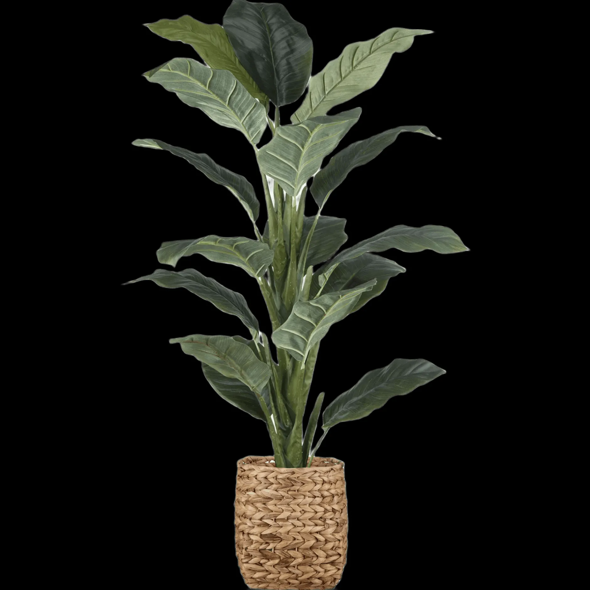 Best Large Ficus in Rattan Pot Branches|Artificial Flowers