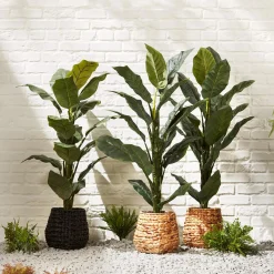 Best Large Ficus in Rattan Pot Branches|Artificial Flowers