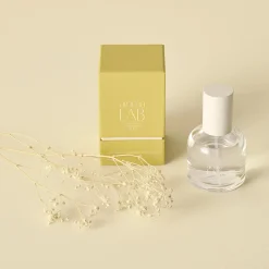 Hot Lemon Verde Room Spray - Aroma Lab Candles & Candle Stick Holders