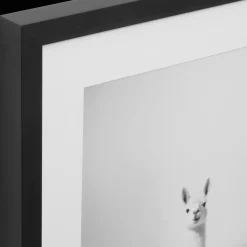 LLama in Bathtub Printed Framed Canvas Printed & Photography Wall Art Canvases