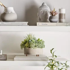 Best Mixed Artificial Agave in Cement Planter Artificial Plants