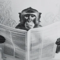 Clearance Monkey in Bathtub Printed Framed Canvas Printed & Photography Wall Art Canvases