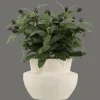 Best Olive Plant in Ceramic Pot Artificial Plants