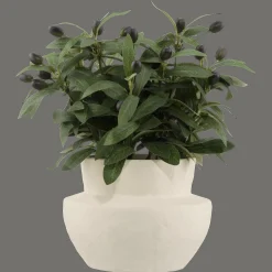Best Olive Plant in Ceramic Pot Artificial Plants