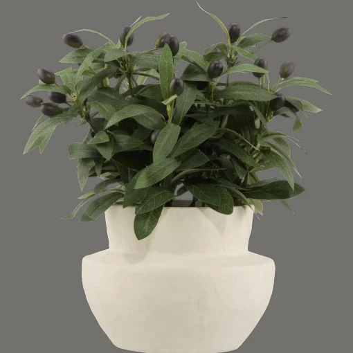 Best Olive Plant in Ceramic Pot Artificial Plants