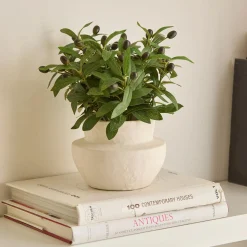 Best Olive Plant in Ceramic Pot Artificial Plants