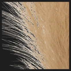 Hot Pampas Bouquet in Vase Artificial Plants