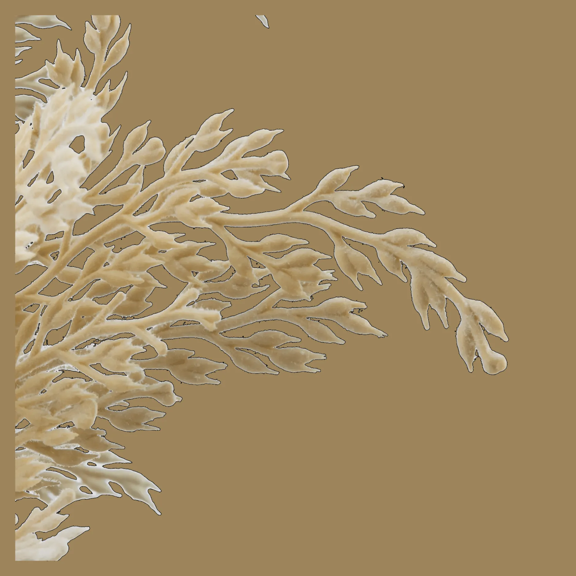 Best Pampas in Vase With Handle Artificial Plants