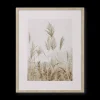 Hot Pampas on Beach Framed Canvas Printed & Photography Wall Art Canvases