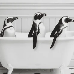 Hot Penguins in Bathtub Printed Framed Canvas Printed & Photography Wall Art Canvases