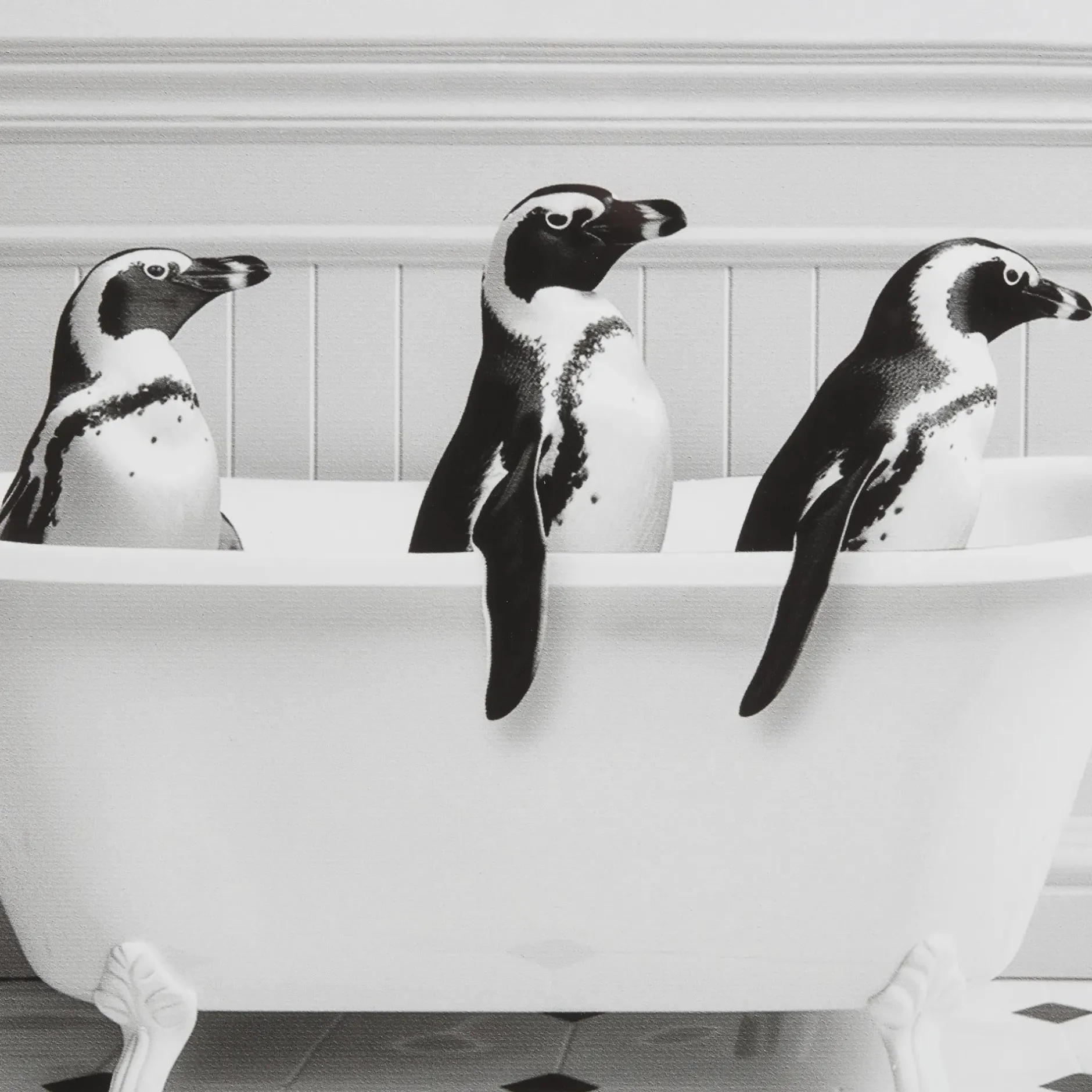 Hot Penguins in Bathtub Printed Framed Canvas Printed & Photography Wall Art Canvases