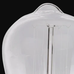 Hot Regular 40W Light Bulb Light Bulbs