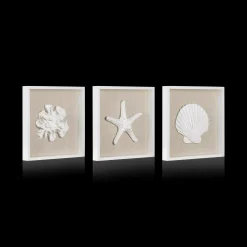 Hot Set of 3 Seashells Framed Art Wall Decorations