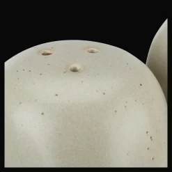 Outlet Set of Salt and Pepper Shakers on Tray Dinnerware