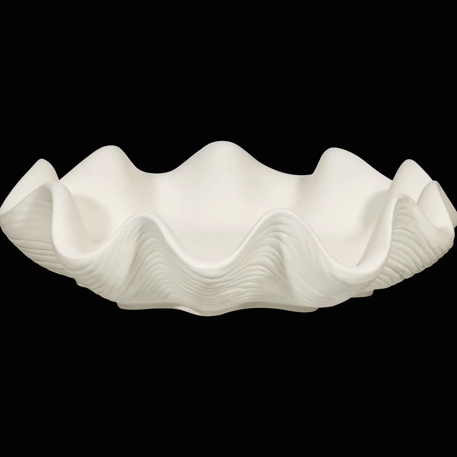 Outlet Shell Decorative Bowl Home Decorative Items & Objects