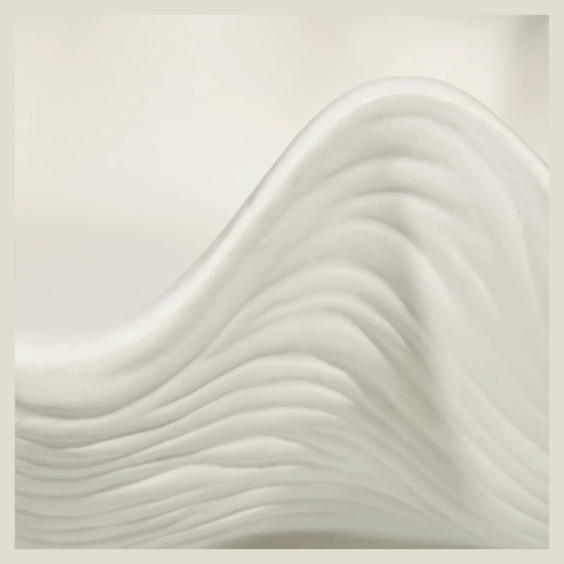 Outlet Shell Decorative Bowl Home Decorative Items & Objects