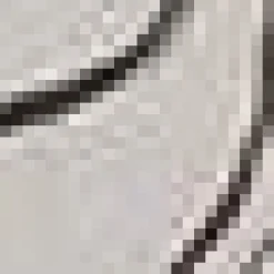 Online Stems in Pot Framed Art Oil Paintings