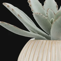 New Succulent in Ceramic Pot Artificial Plants