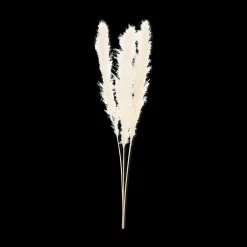 Discount Tall Pampas Stem 150 cm Branches|Artificial Flowers