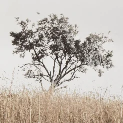 Discount Typography Framed Art Printed & Photography Wall Art Canvases