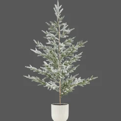 Hot Xmas Tree in Ceramic Pot Seasonal Greenery