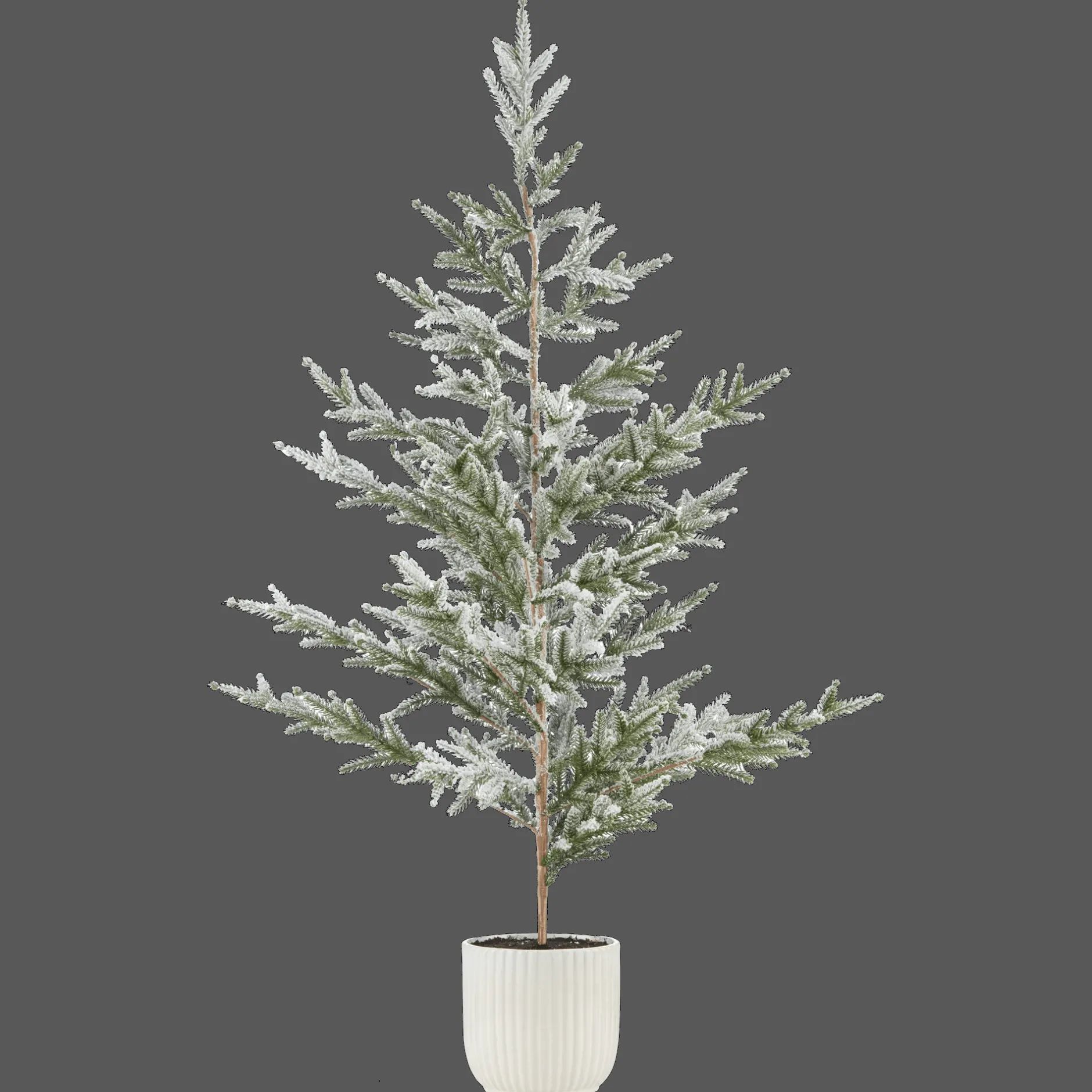 Hot Xmas Tree in Ceramic Pot Seasonal Greenery