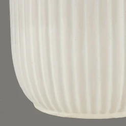 Hot Xmas Tree in Ceramic Pot Seasonal Greenery