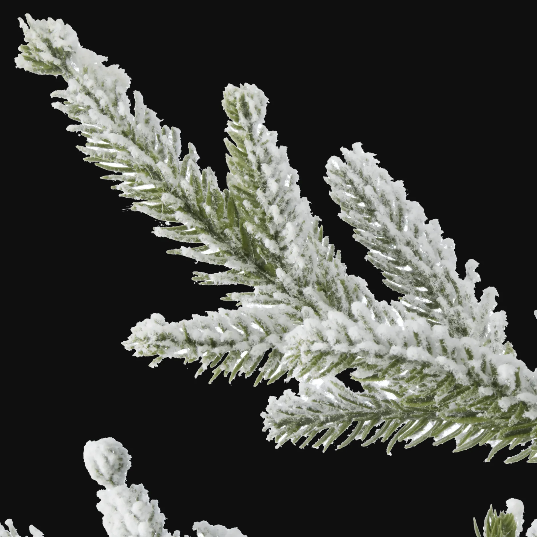 Hot Xmas Tree in Ceramic Pot Seasonal Greenery